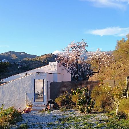 Finca El Almendro Archez Exterior photo