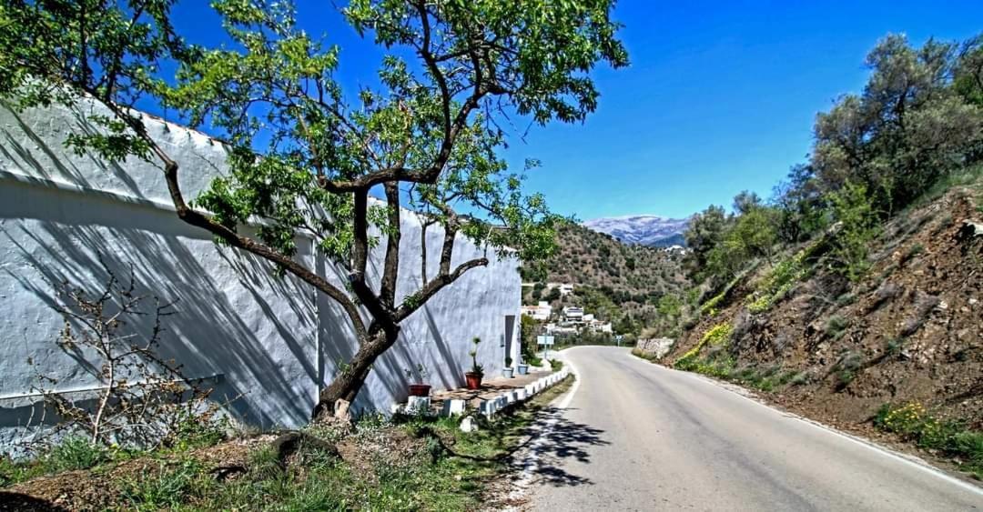 Finca El Almendro Archez Exterior photo