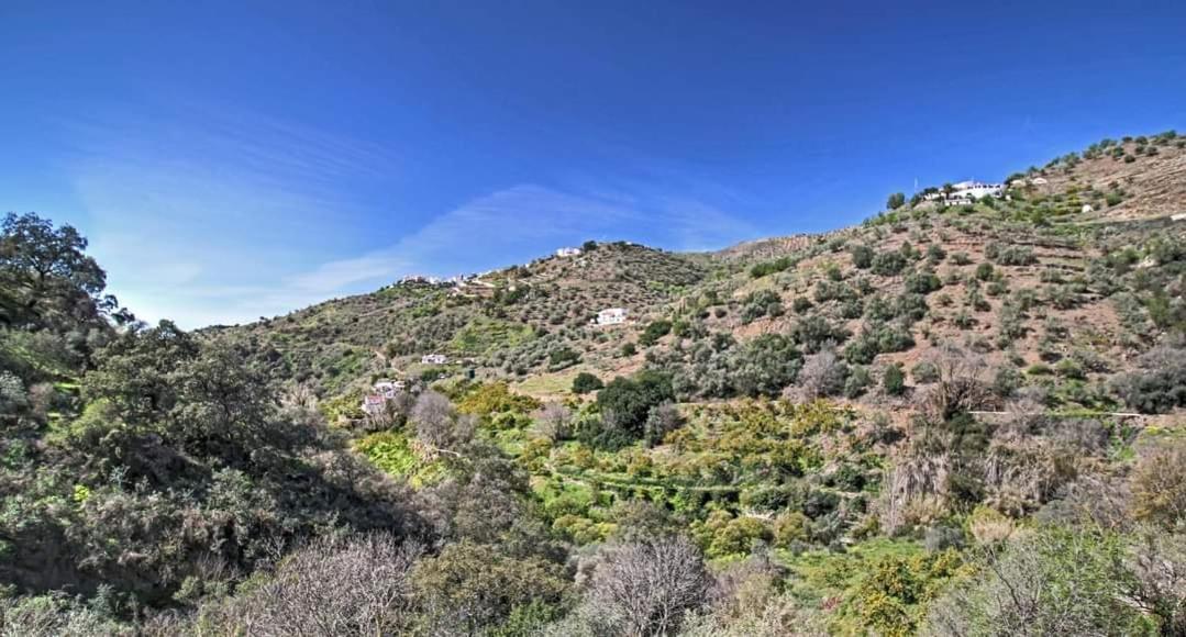Finca El Almendro Archez Exterior photo