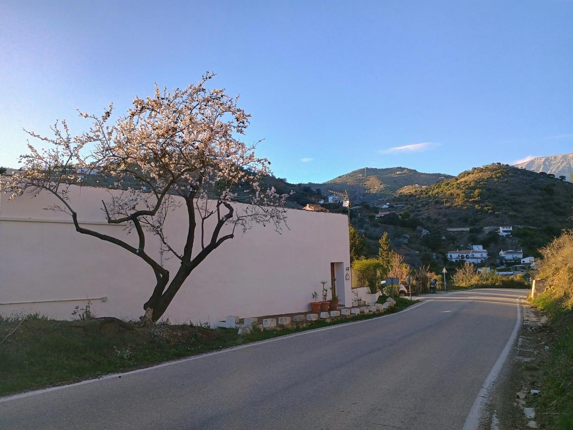 Finca El Almendro Archez Exterior photo