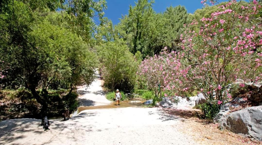 Finca El Almendro Archez Exterior photo